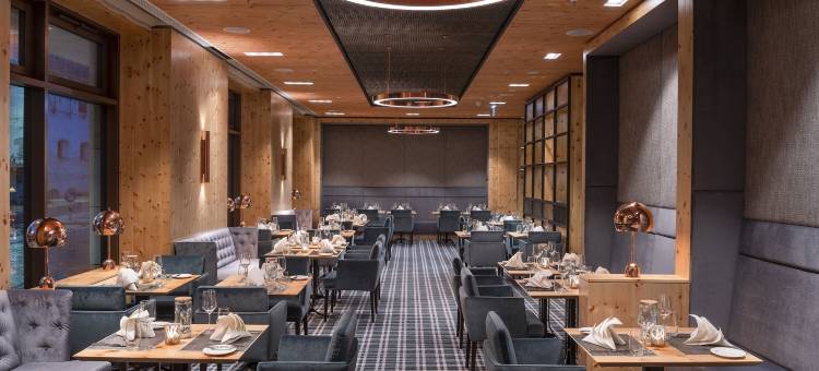 英戈尔斯塔特马里蒂姆酒店(Maritim Hotel Ingolstadt)图片
