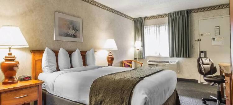 硅谷凯艺套房酒店(Quality Inn & Suites Silicon Valley)图片