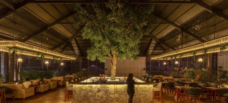 Treebo Kumily Gate Thekkady图片