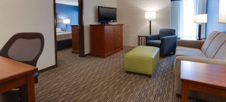 纳什维尔机场德鲁里套房酒店(Drury Inn & Suites Nashville Airport)图片