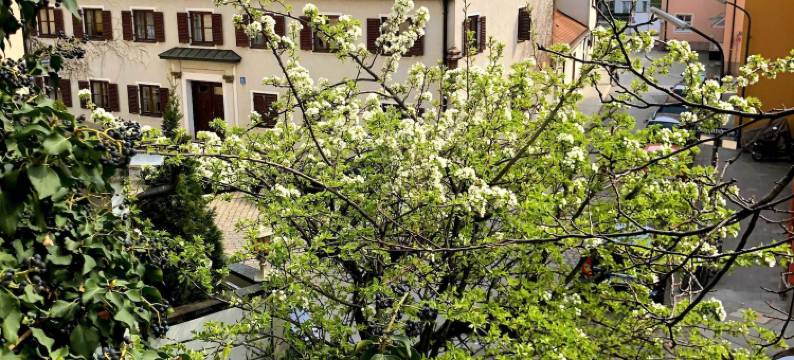 玛利亚希尔夫酒店(Hotel Mariahilf München)图片