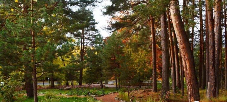 阿尔曼索尔霍斯潘迪姆青年旅馆(Hospedium Hostal Almanzor)图片