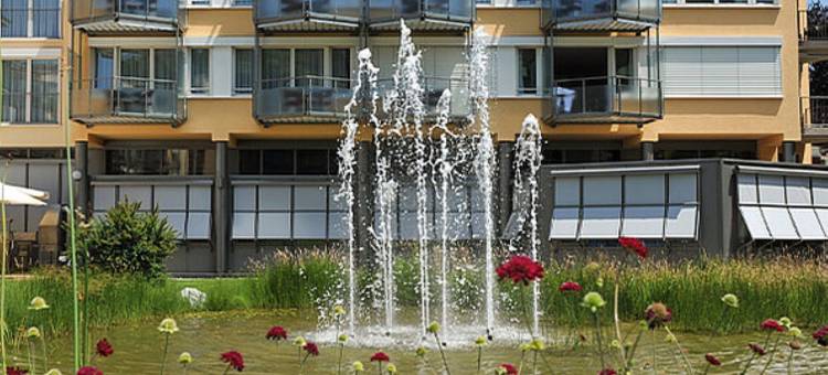 巴德组尔萨克公园酒店(Dorint Parkhotel Bad Zurzach)图片