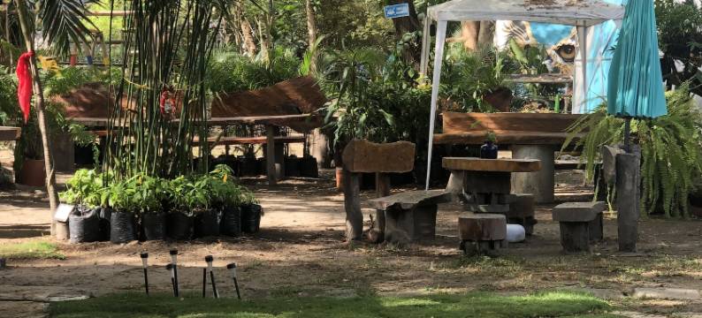 阿姆罗西亚生态酒店(Ecohotel Ambrosia Lodge)图片