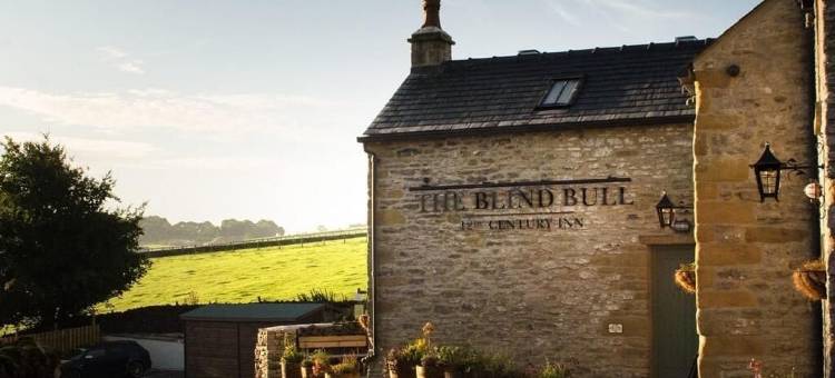 盲公牛(The Blind Bull)图片