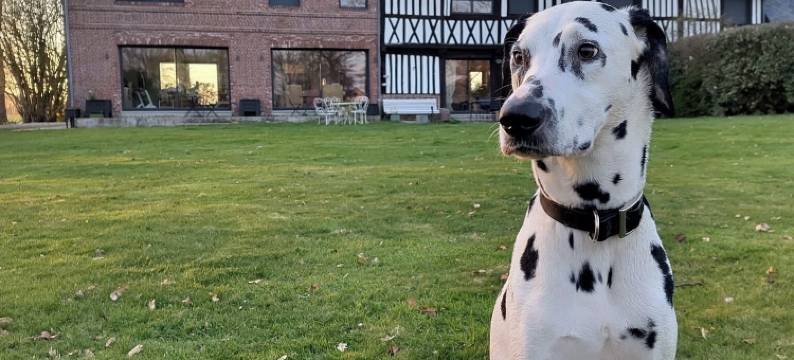 Le Manoir de la Campagne图片