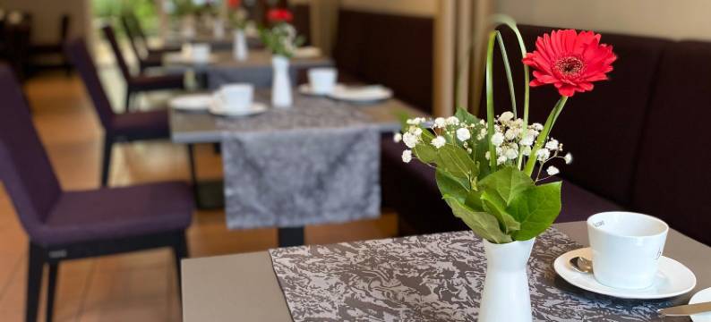 纽伦堡阿兹姆酒店(Invite Hotel an der Kaiserburg)图片