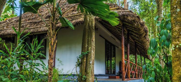 Amritara Shalimar香料园度假村和水疗中心(Amritara Shalimar Spice Garden Resort & Spa)图片
