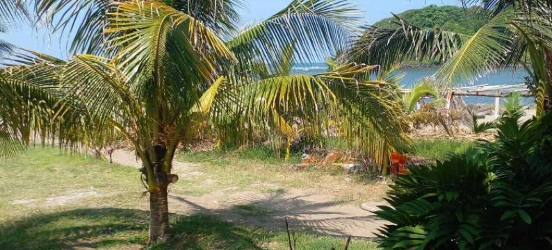 膳宿公寓(Hostal)图片