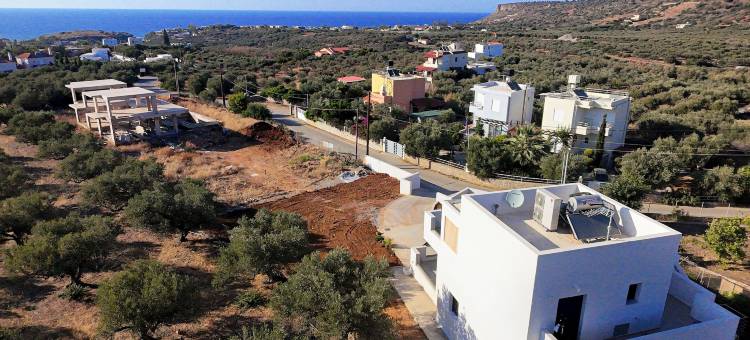 伊菲杰尼娅别墅(Villa Ifigenia)图片