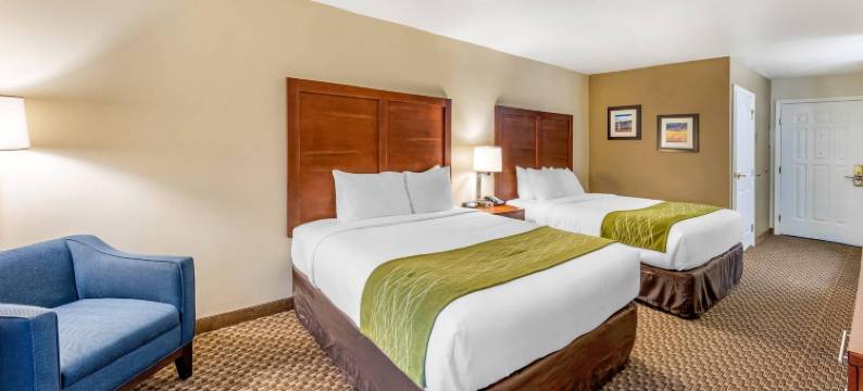 兰开斯特羚羊谷舒适套房酒店(Comfort Inn & Suites Lancaster Antelope Valley)图片