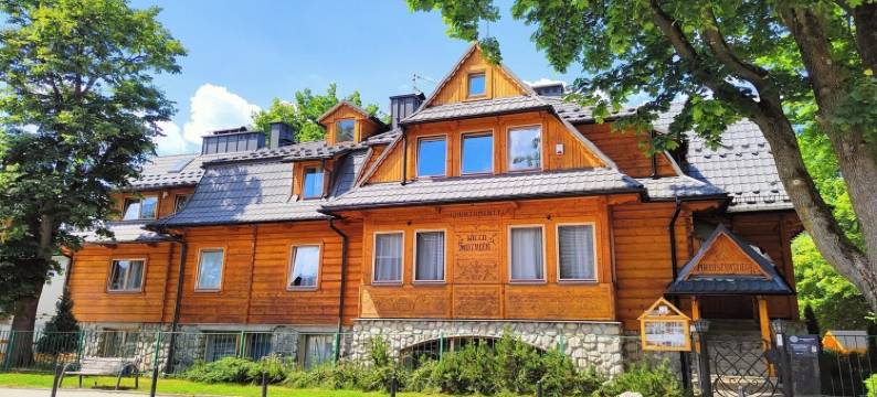 萨科帕尼艺术公寓酒店(Apartamenty ApartArt Zakopane)图片