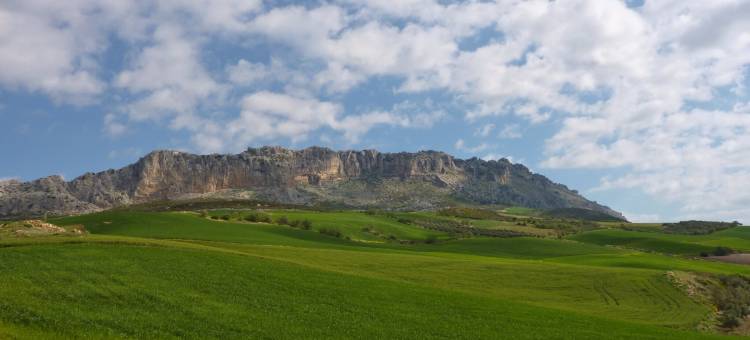 Countryside Villa Escape图片