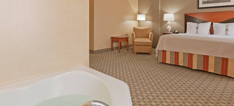 Holiday Inn 代尔 - 会议中心(Holiday Inn Carbondale-Conference Center)图片