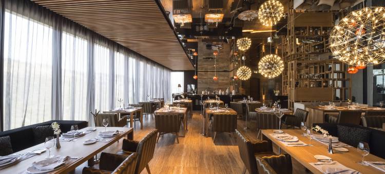 蒙特雷活力之蓝城市度假村(Live Aqua Monterrey)图片