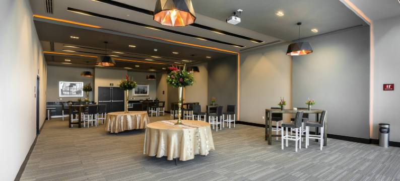希尔顿花园酒店-阿瓜斯卡连特斯(Hilton Garden Inn Aguascalientes)图片