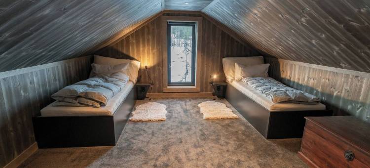 豪华度假屋，滑雪，桑拿，远程办公(Luxury Holiday Home, Skiing, Sauna, Remote Office)图片