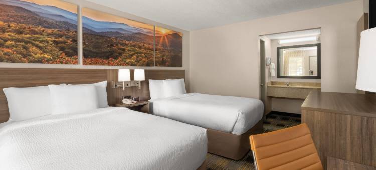 坎顿戴斯酒店(Days Inn by Wyndham Canton)图片