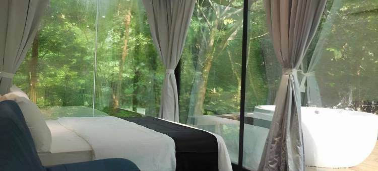 时间胶囊酒店(Time Capsule Retreat, Sungai Lembing)图片