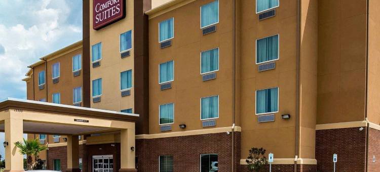 舒适套房酒店-西北赛菲尔(Comfort Suites Northwest - Cy - Fair)图片