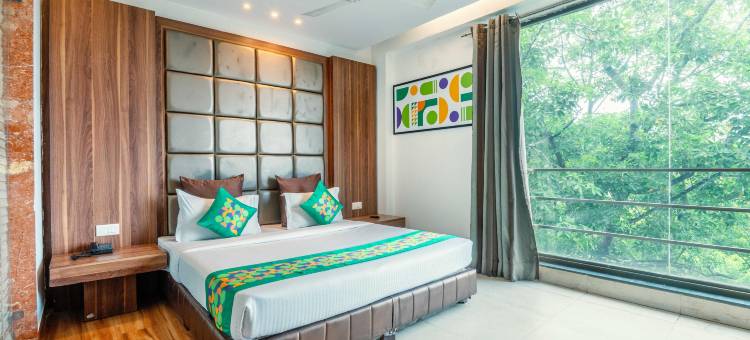 Treebo 双树(Treebo Twin Tree)图片