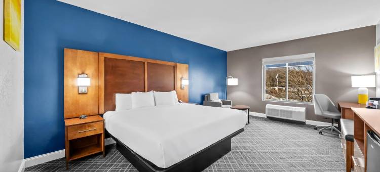 普莱恩维尔-福克斯波罗舒适套房酒店(Comfort Inn & Suites Plainville-Foxboro)图片