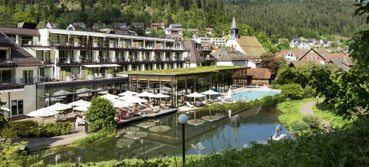 巴德温泉缇娜酒店(Hotel Therme Bad Teinach)图片