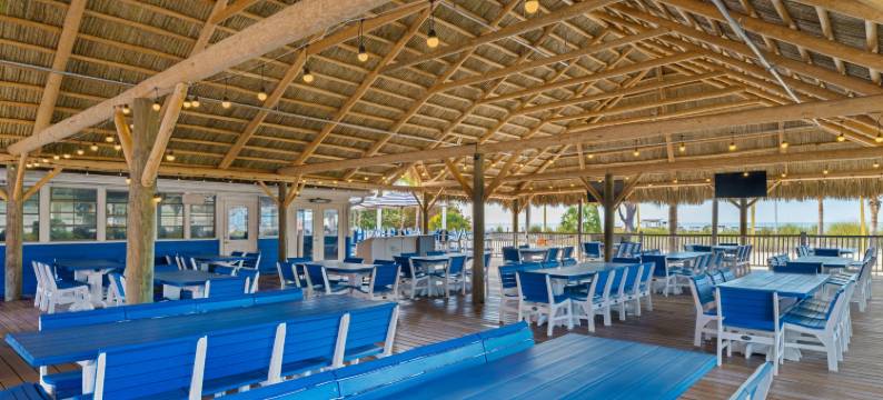 圣彼得海滩希尔顿花园酒店(Hilton Garden Inn St. Pete Beach)图片