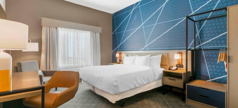 霍马舒适套房酒店(Comfort Inn & Suites Houma)图片