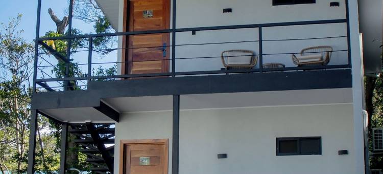 蒙特沃德卡拉提亚酒店(Calathea Lodge Monteverde)图片