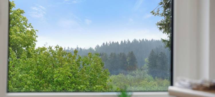 霍恩别墅奥伯霍夫度假公寓(Villa Horn Oberhof Ferienwohnungen)图片