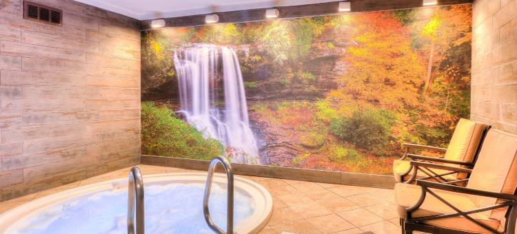 凯艺酒店-近鸽子谷岛(Quality Inn Near the Island Pigeon Forge)图片