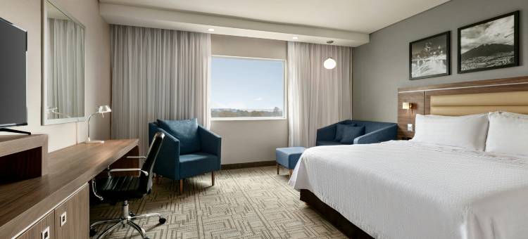 蒙特雷-阿波达卡希尔顿欢朋酒店(Hampton by Hilton Monterrey Apodaca)图片