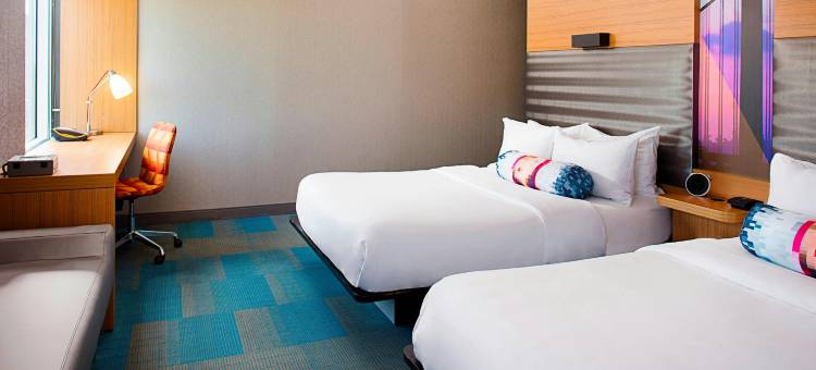 费城机场雅乐轩酒店(Aloft Philadelphia Airport)图片