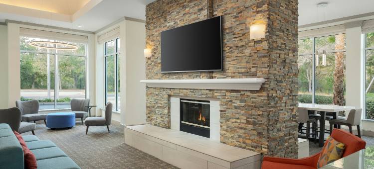 坦帕北希尔顿花园酒店(Hilton Garden Inn Tampa North)图片