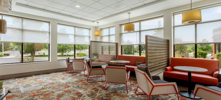 希尔顿花园旅馆-波林布鲁克 I 55(Hilton Garden Inn Bolingbrook)图片