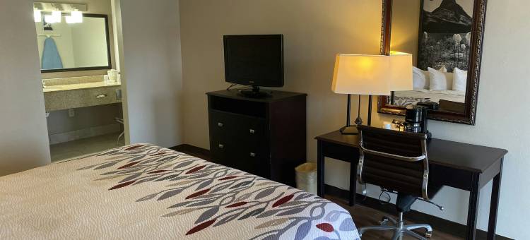 红顶酒店(Red Roof Inn Savannah North I-95 - Port Wentworth)图片