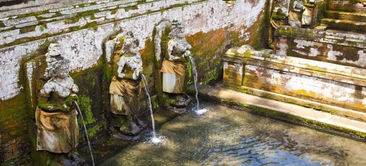 乌布瓦纳度假酒店(Ubud Wana Resort)图片