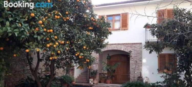 L'Arancio Antico图片