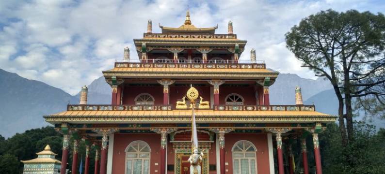 冀雅城堡度假村(The Citadel Resorts, Jiya Himachal Pradesh)图片