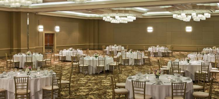 亚特兰大巴克海区特威斯汀酒店(The Westin Buckhead Atlanta)图片