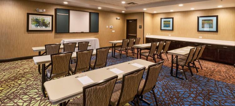 北德卢斯商场区欢朋套房酒店(Hampton Inn & Suites Duluth North/Mall Area)图片