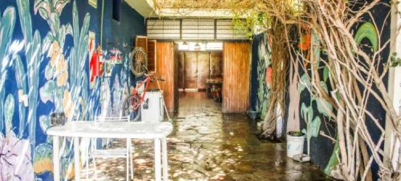 特罗塔门多斯旅舍(Hostel Trotamundos)图片