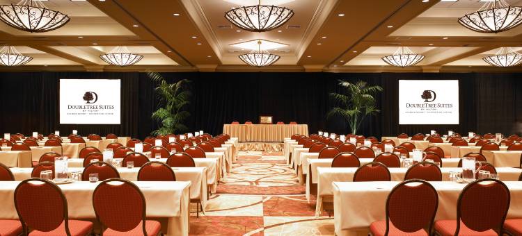 阿纳海姆会议中心逸林套房酒店(DoubleTree Suites by Hilton Anaheim Resort/Convention Center)图片