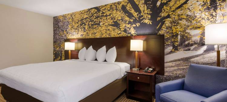 希尔顿Spark阿宾登岛I-81近展览场(Spark by Hilton Abingdon I-81 Near Fairgrounds)图片