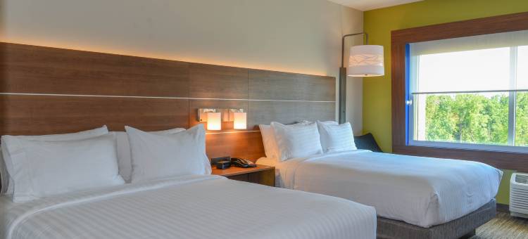布赖尔河罗利机场智选假日套房酒店(Holiday Inn Express & Suites Raleigh Airport - Brier Creek)图片