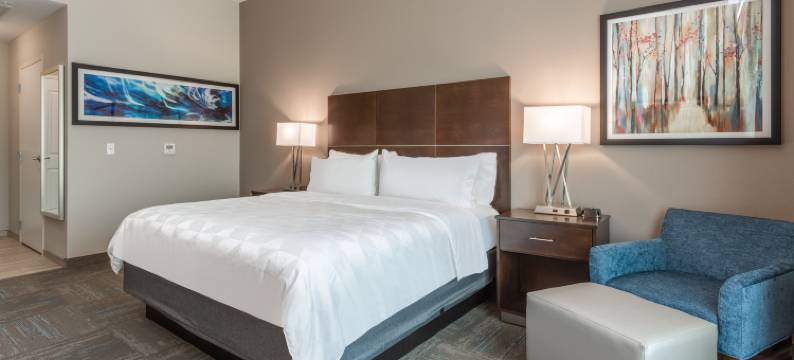 Holiday Inn & Suites 杰斐逊城(Holiday Inn & Suites JEFFERSON CITY by IHG)图片