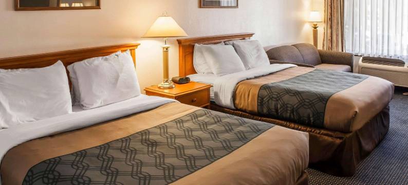 伊克诺套房酒店(Inn & Suites)图片