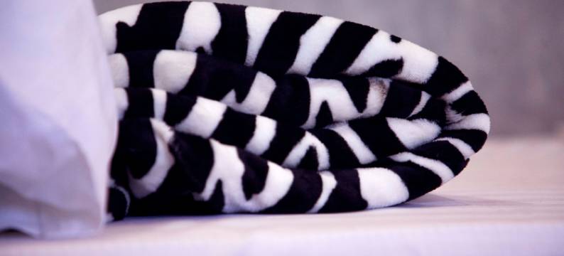 Seeta的Stusky Lark迷你酒店(Stusky Lark Mini Hotel Seeta)图片