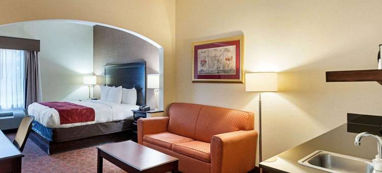 达勒斯机场舒适套房酒店(Comfort Suites Dulles Airport)图片